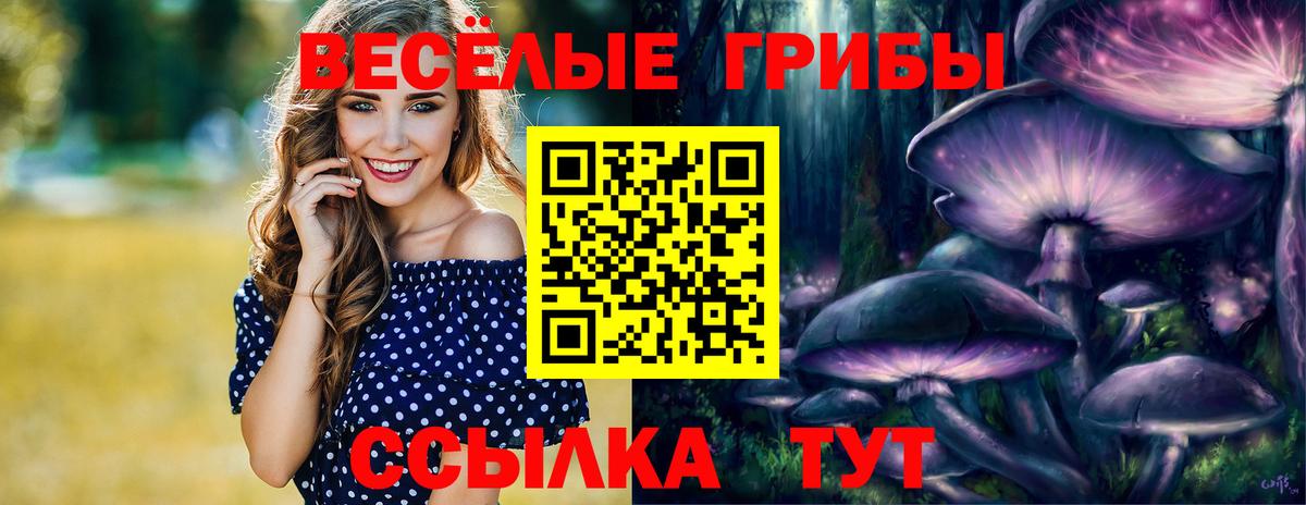 Псилоцибиновые грибы мухоморы Туймазы