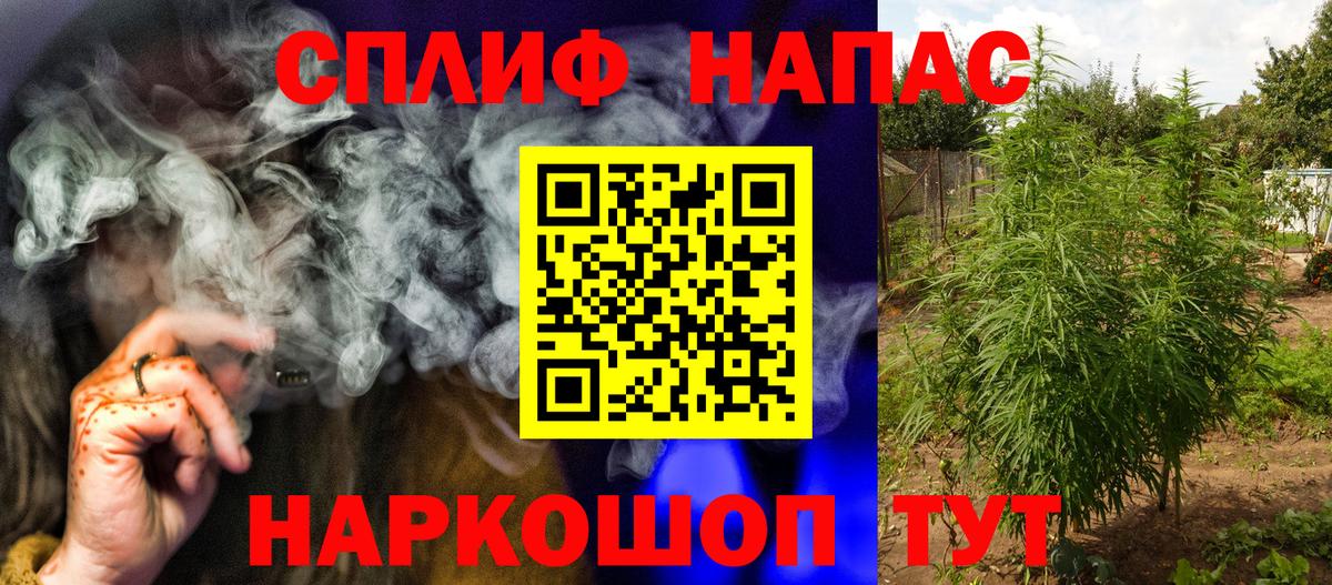 Шишки марихуана марихуана Туймазы